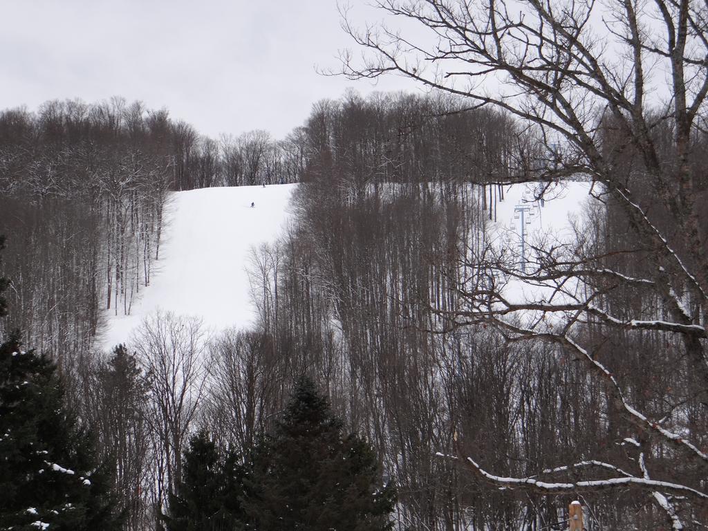 אליקוטוויל Edelweiss Ski Lodge מראה חיצוני תמונה