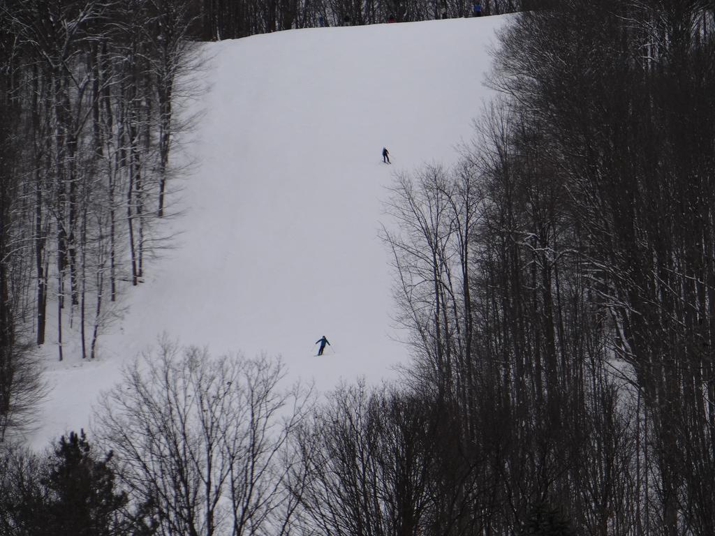 אליקוטוויל Edelweiss Ski Lodge מראה חיצוני תמונה